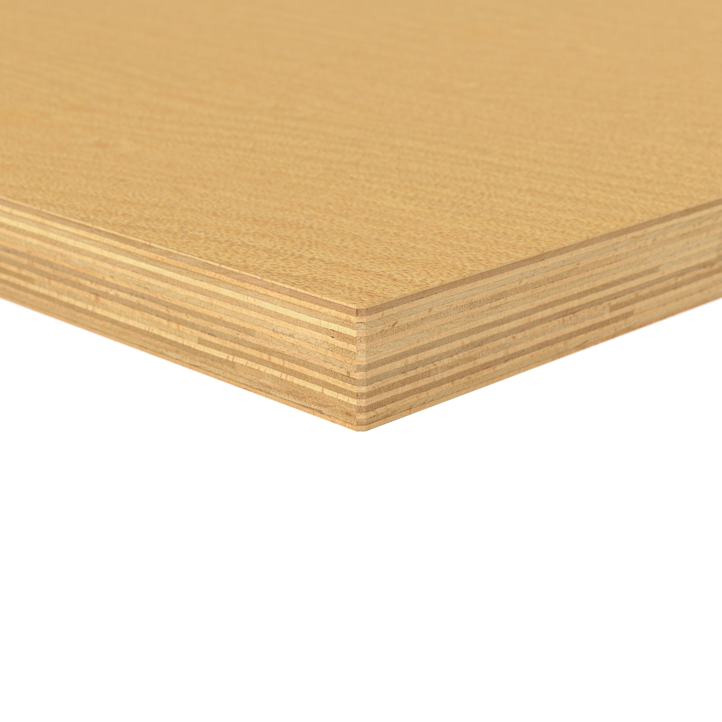 Dringenberg Kastenwerkbank 1500 2/1 fix-1500 KWB Mod 2/1 DB, fix