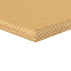 Dringenberg Kastenwerkbank 2000 3/7 fix 033467-7035-5010