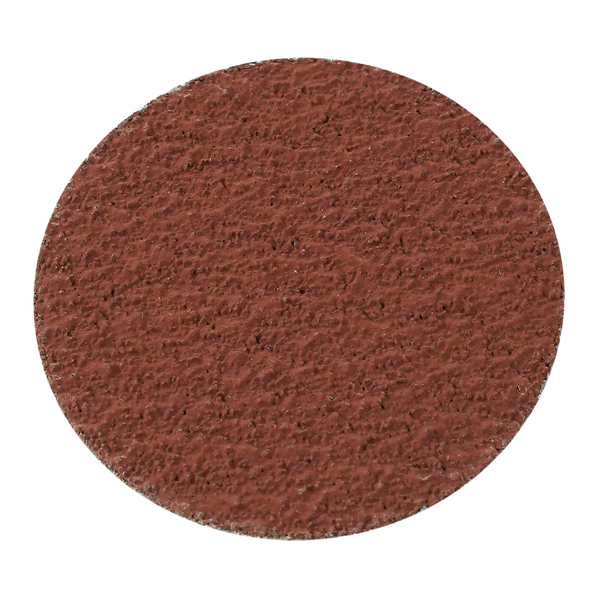 Eisenblätter 15442 PINLOC COLDSTEEL® Scheibe 75 mm, Korn 36