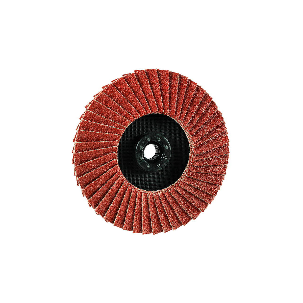 "Eisenblätter 91342 TRIMFIX® SteelFire® Heavy-Duty 125 mm x M14, Korn 40, Fächerschleifscheibe"