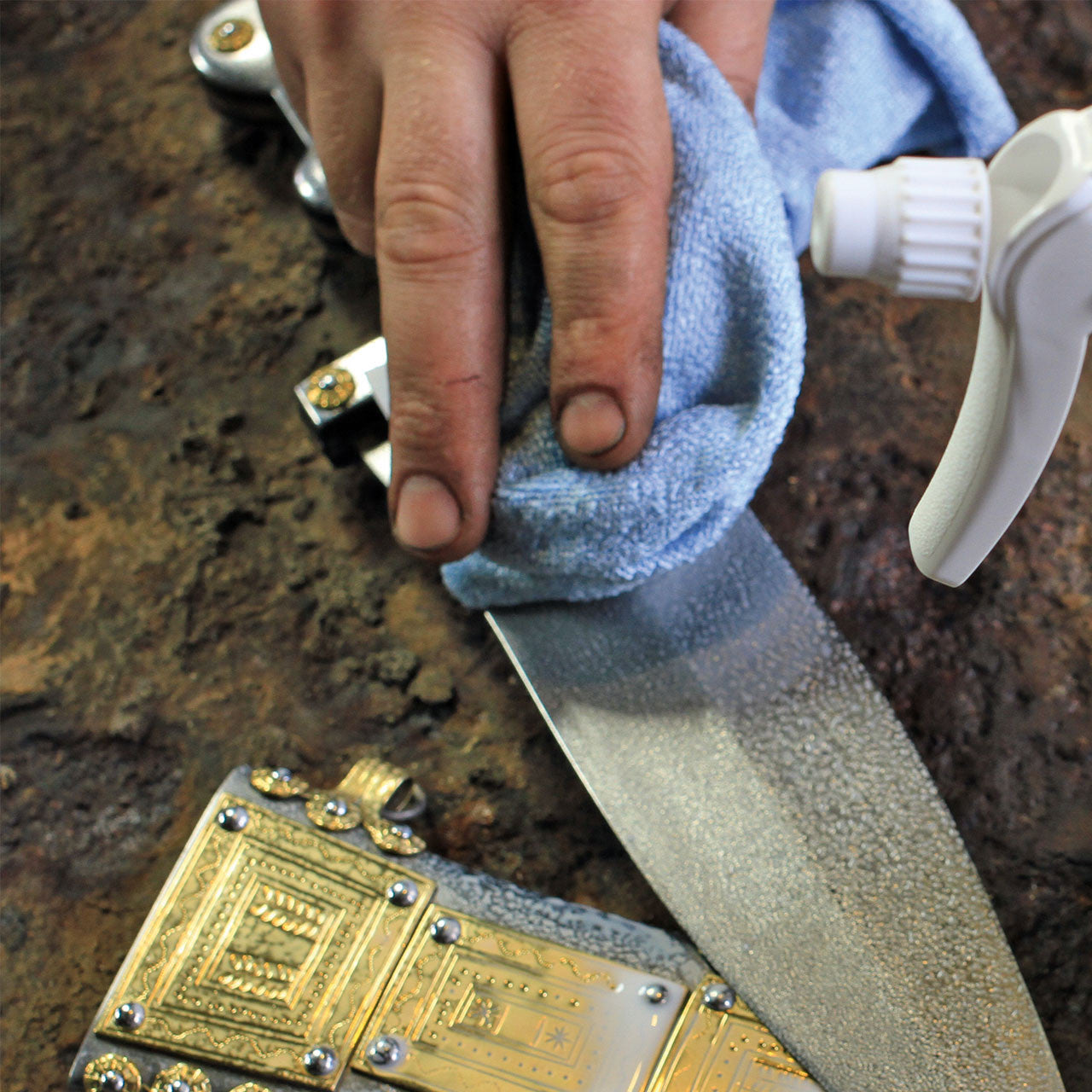 "Eisenblätter 40040m INOX PROTECT 50 ml Sprühflasche  by Eisenblätter"