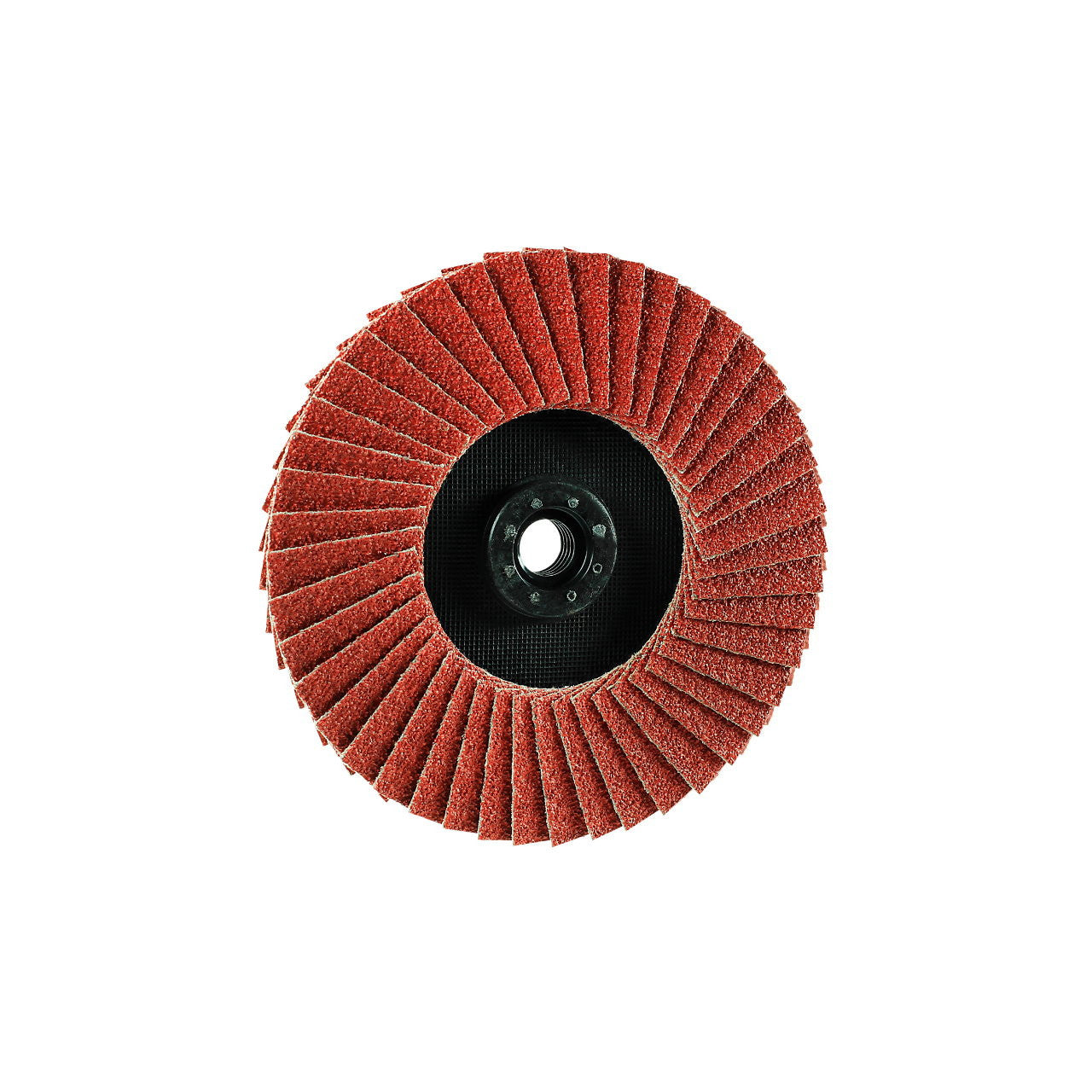 Eisenblätter 91343 TRIMFIX® SteelFire® Heavy-Duty 125 mm x M14, Korn 60, Fächerschleifscheibe